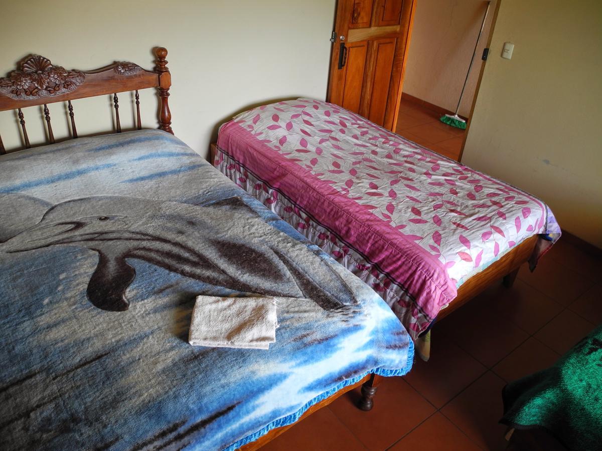 Sleepers Sleep Cheaper Hostel Monteverde Bagian luar foto